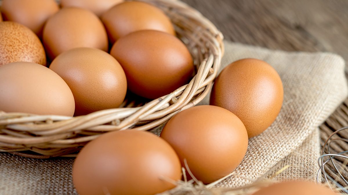 Telur makanan saat trimester pertama