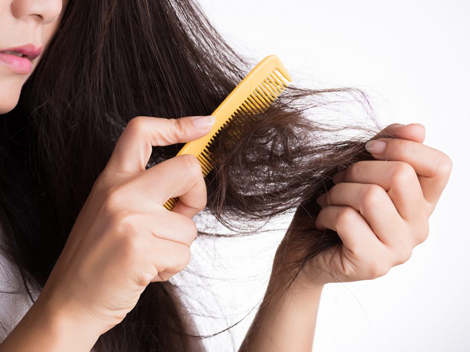 cara merawat rambut kering
