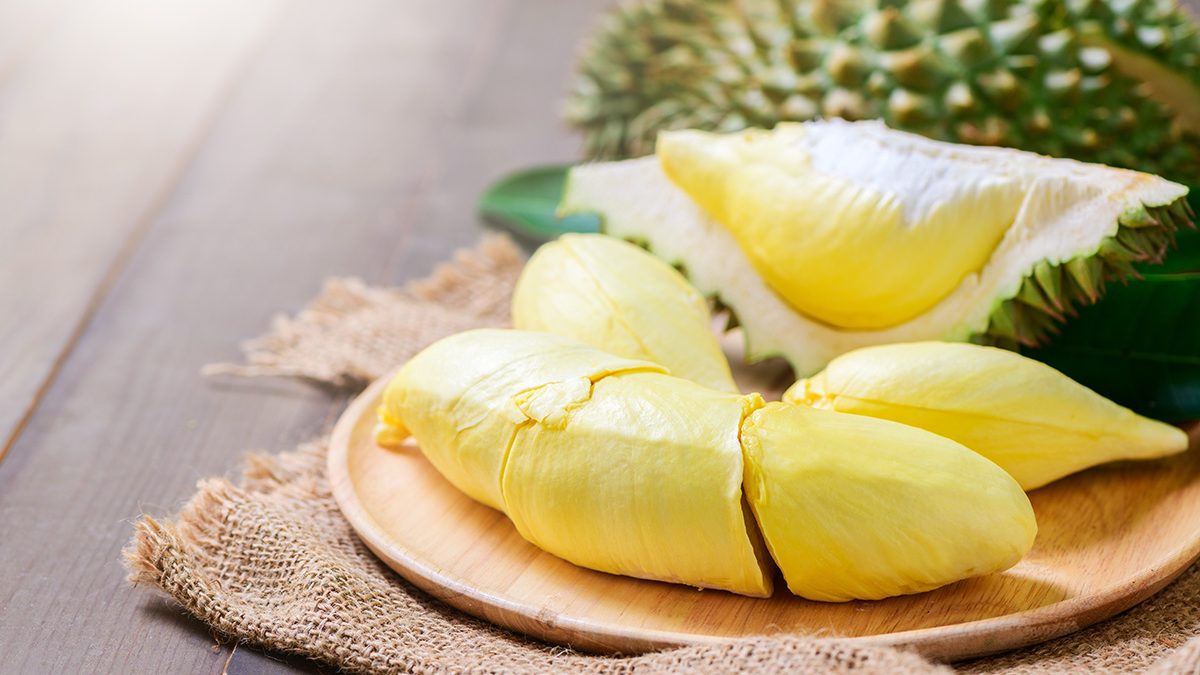 cara memilih durian