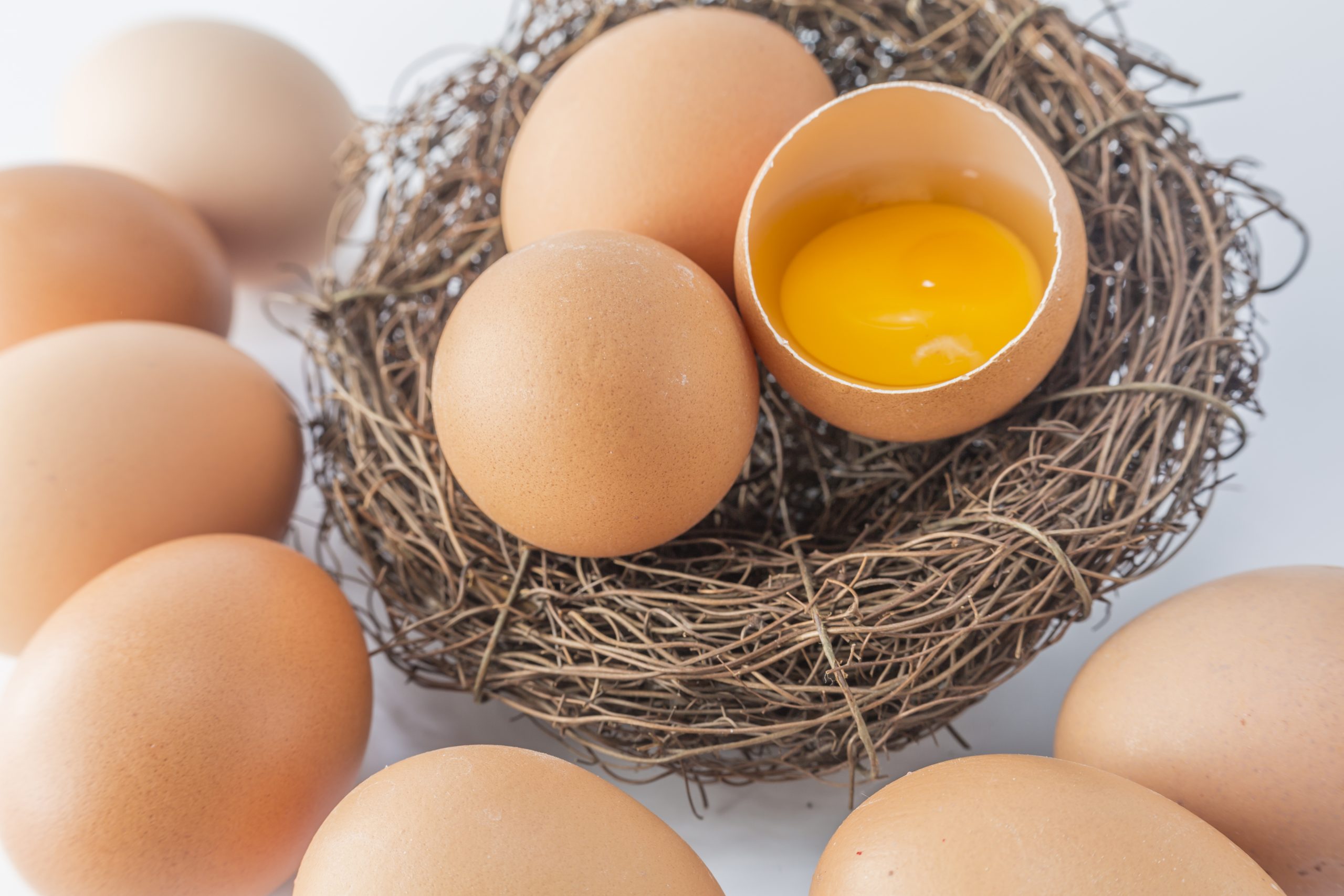Ciri telur busuk dan telur segar