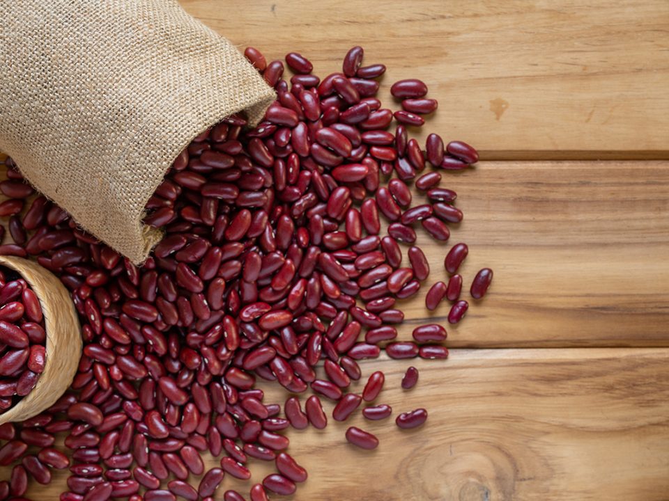 Manfaat kacang merah