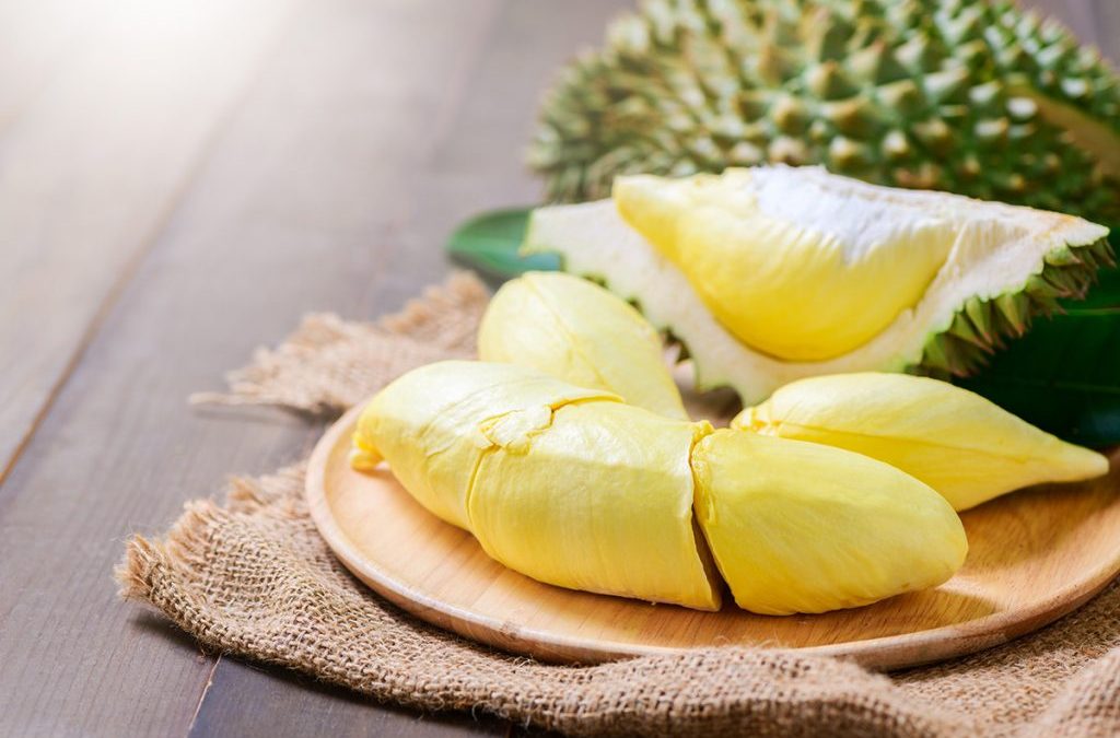 jenis durian