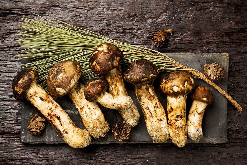 7 Bahan Makanan Mahal Favorit Sisca Kohl, Seharga Mobil? Berkeluarga