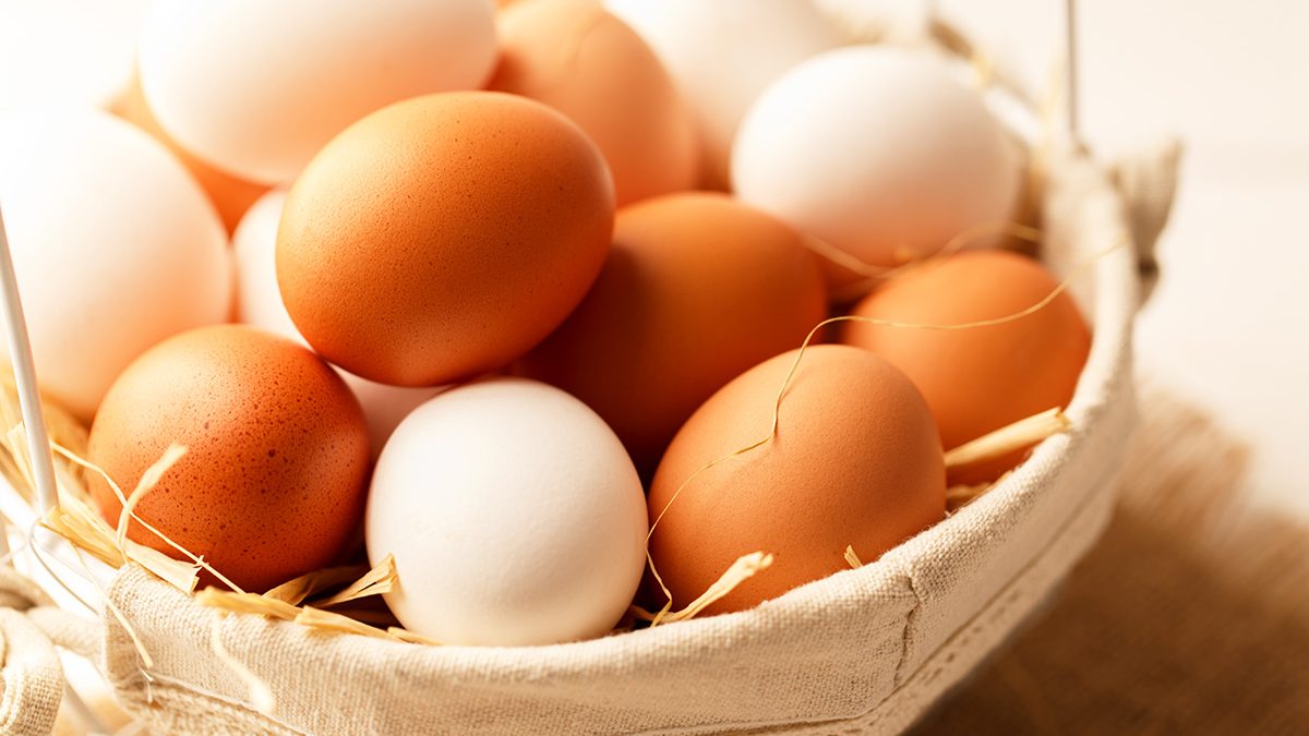 Makanan bikin kenyang telur