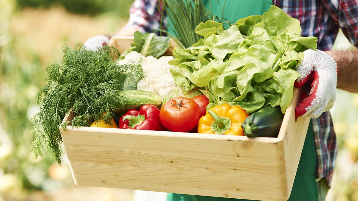 Manfaat Makanan Organik