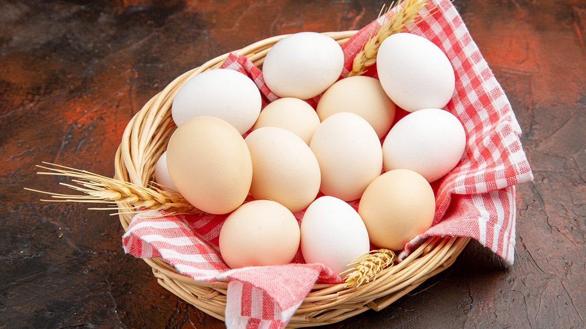Telur untuk Kesehatan